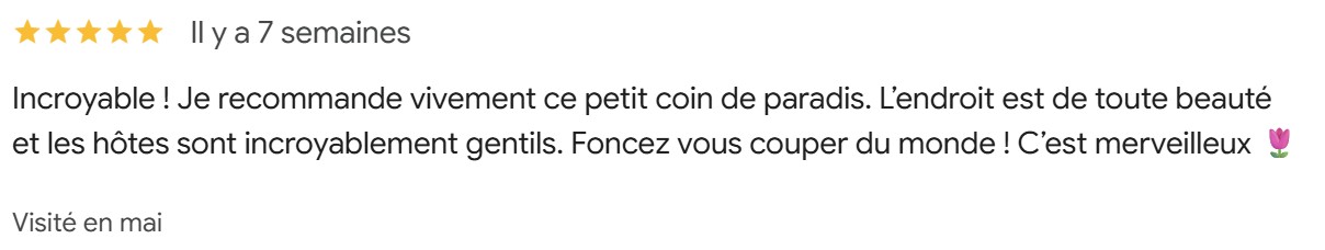 commentaire Aurélie P